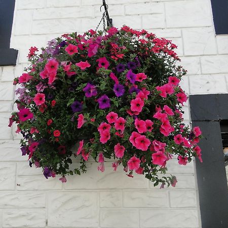 The Red Lion Inn Doune Exterior photo