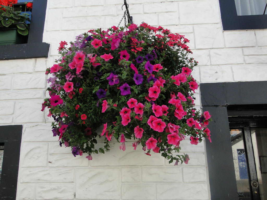 The Red Lion Inn Doune Exterior photo